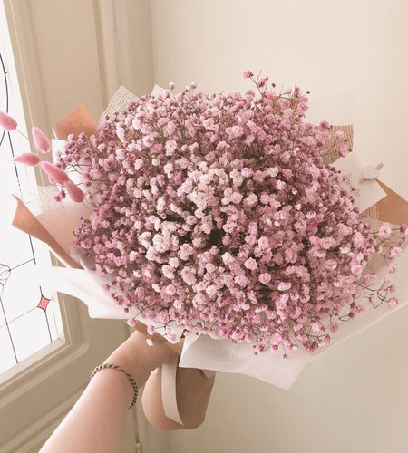 10 White gypsophila