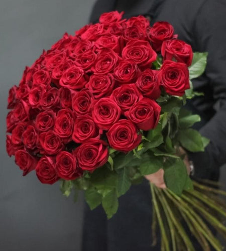 101 red rose 101 وردة حمراء