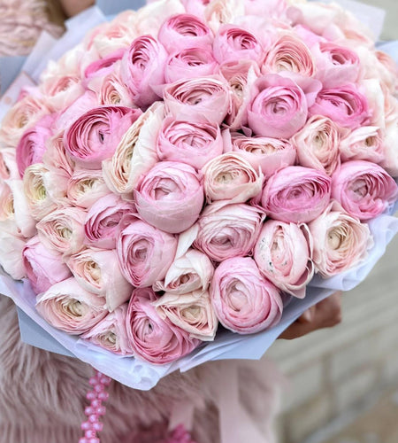 51 ranunculus 51 حوذان