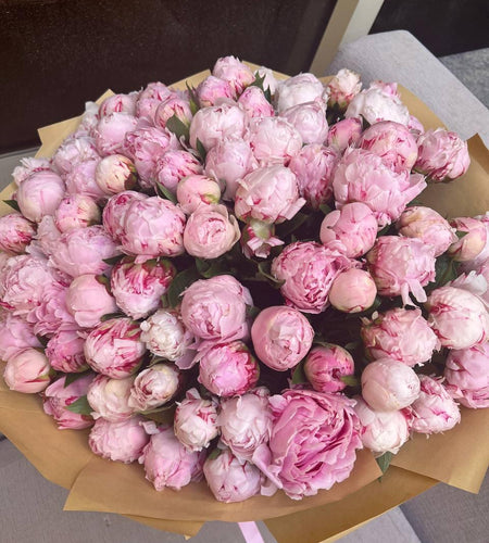 101 Peony 101 الفاوانيا