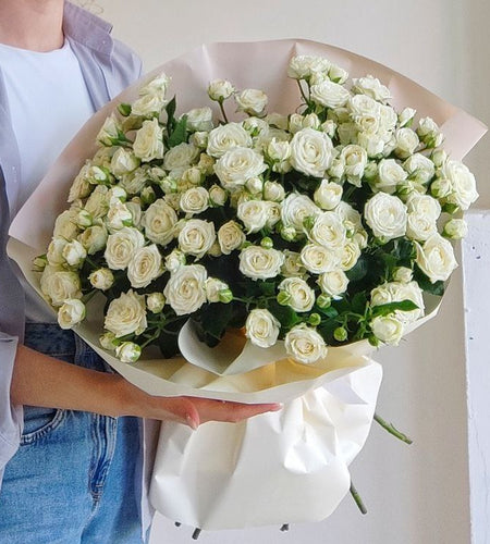 ورود رش بيضاء 29