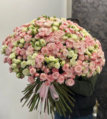 101 spray roses 101 رش الورود