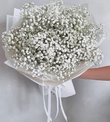 10 White gypsophila