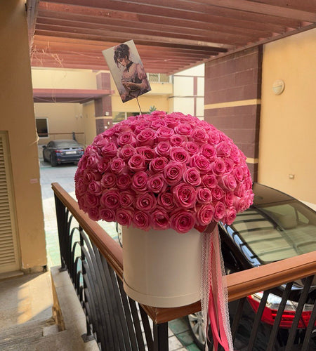 251 Pink roses / 251 وردة وردية