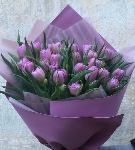 Purple tulips (35pis)
