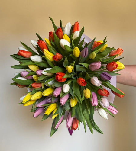 Mix tulips (51pic)