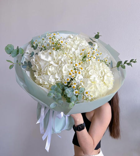 Hudrangea bouquet / باقة من الزهور