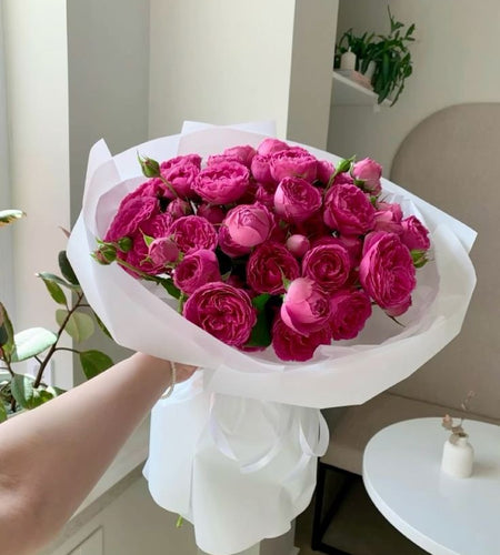 Piones bebe roses (5pis)