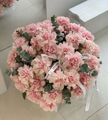 French rose / الوردة الفرنسية