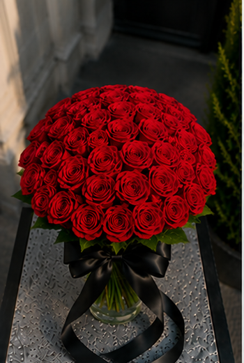 Red rose / وردة حمراء