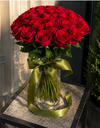 Red rose / وردة حمراء
