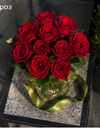 Red rose / وردة حمراء