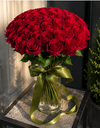 Red rose / وردة حمراء