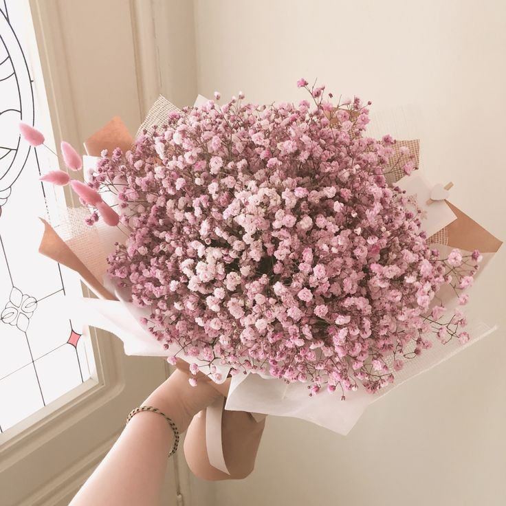 10  White gypsophila