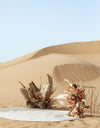 رومانسية الصحراء