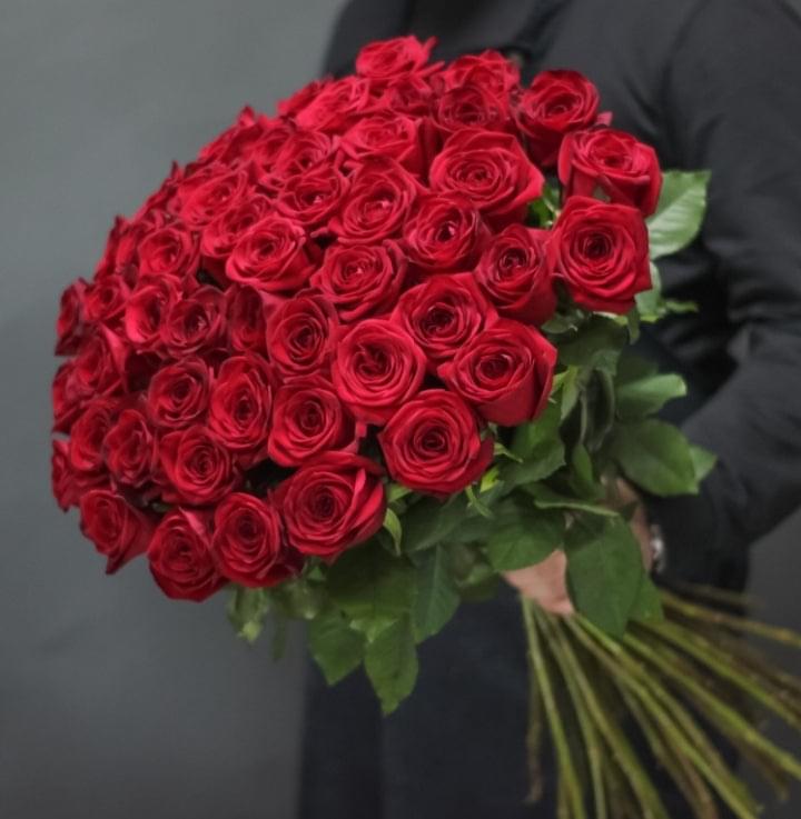 101 red rose  101 وردة حمراء