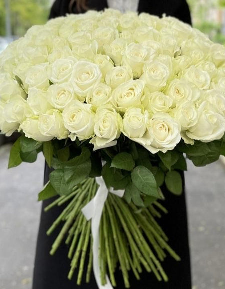 101 white roses  وردة من أي لون