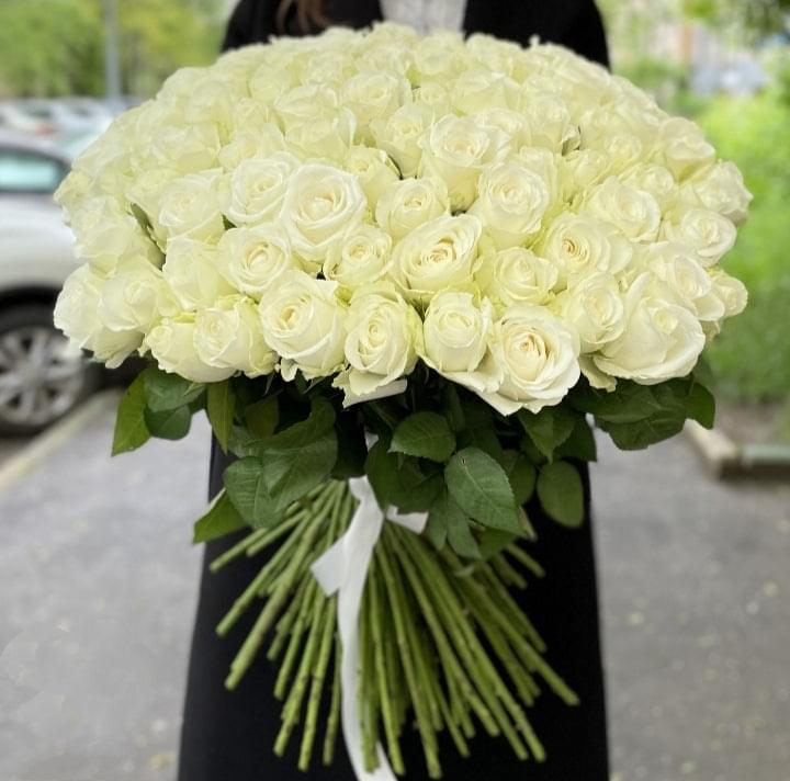101 white roses  وردة من أي لون