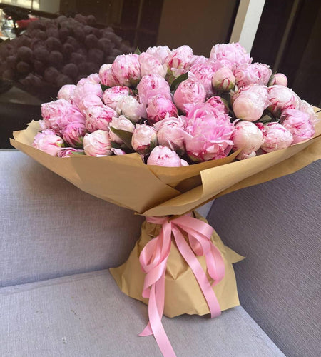 101 Peony 101 الفاوانيا