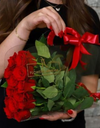 Red rose (15pis)