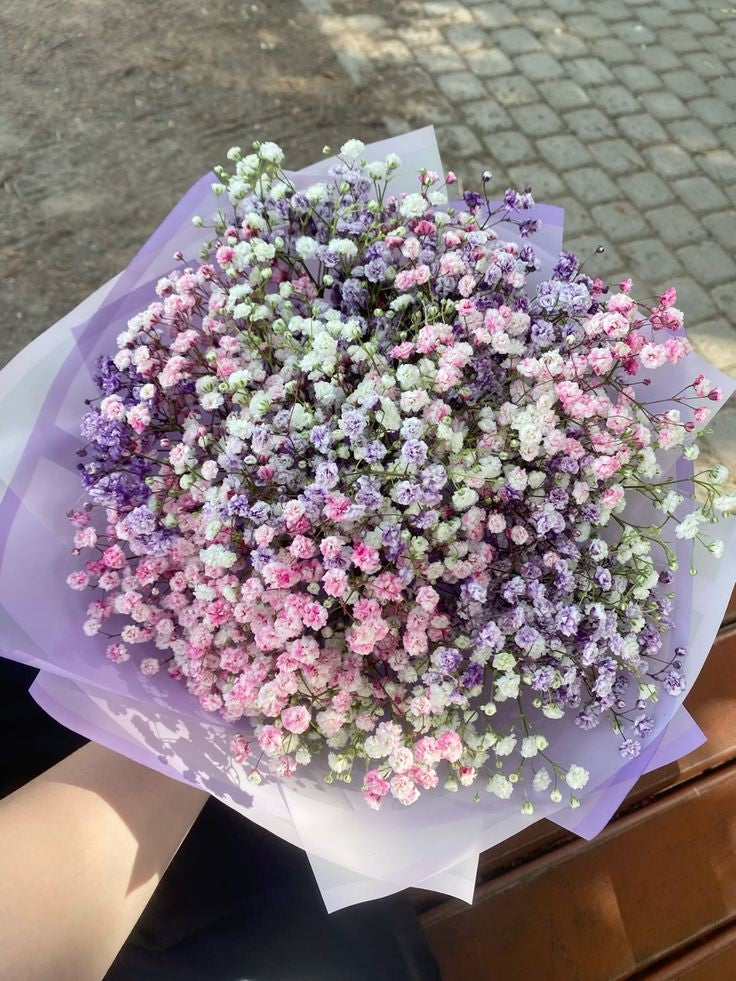 10  White gypsophila