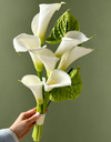 Pure Harmony Bouquet باقة التناغم النقي