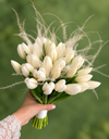 Ivory Whisper Tulip Bouquet باقة توليب الهمس العاجي