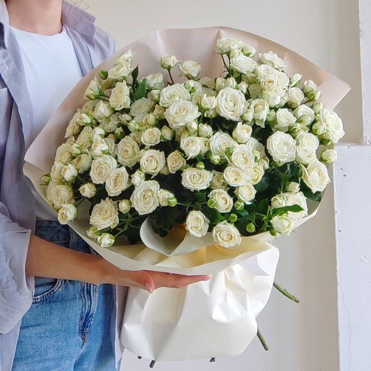 ورود رش بيضاء 29