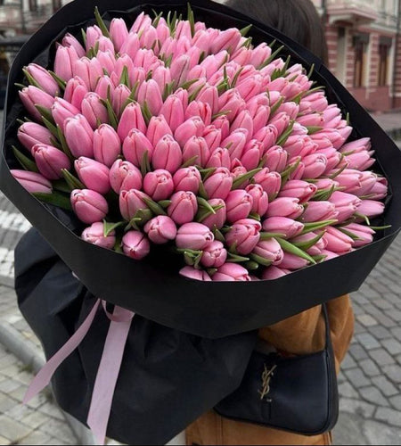 101 pink tulip