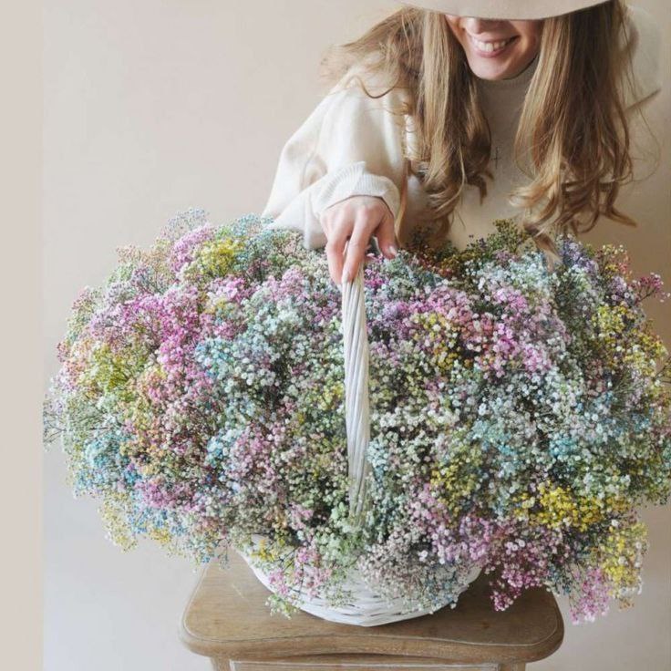 Rainbow gypsophila 25