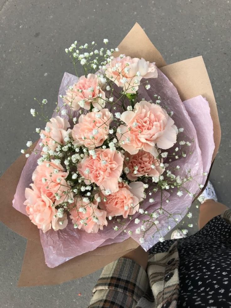 Dianthus with gypsophila