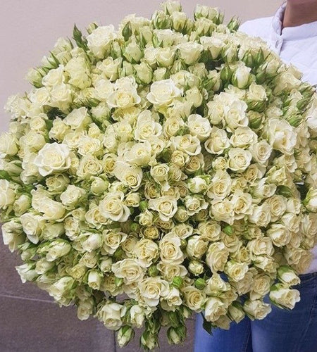 101 spray white rose