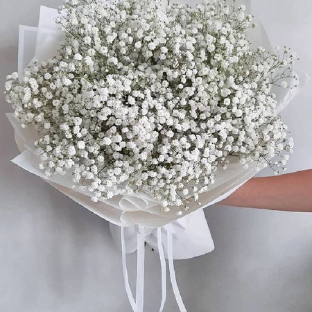 10  White gypsophila