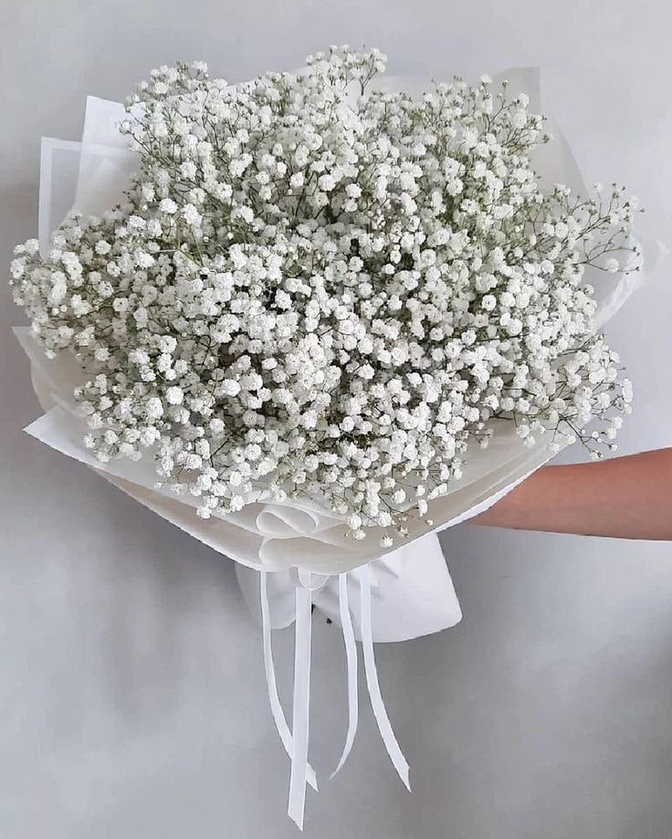 10  White gypsophila