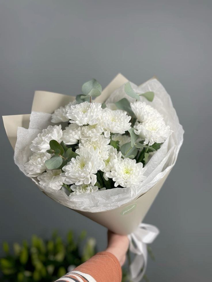 5 أقحوان أبيض