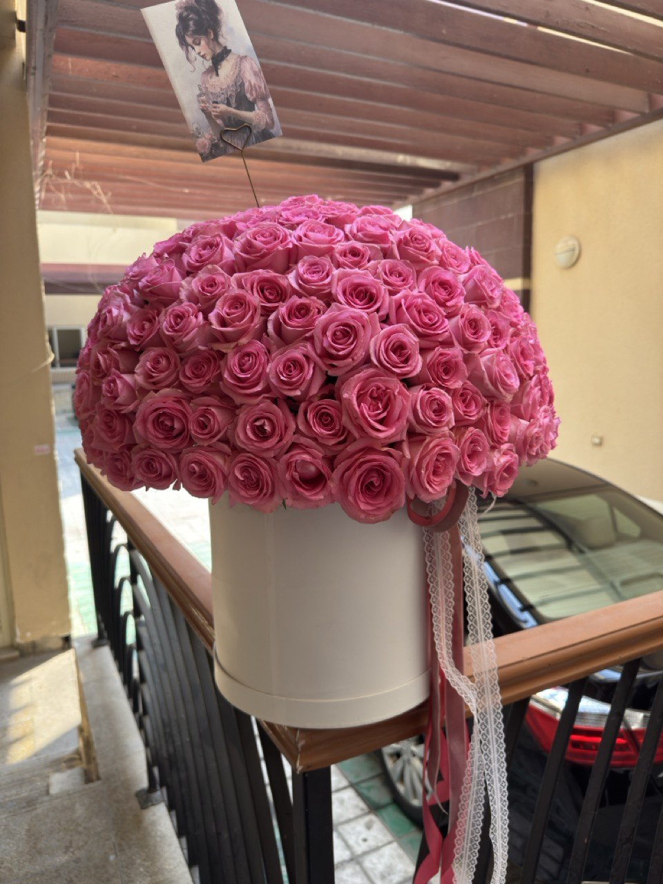 251 Pink roses / 251 وردة وردية