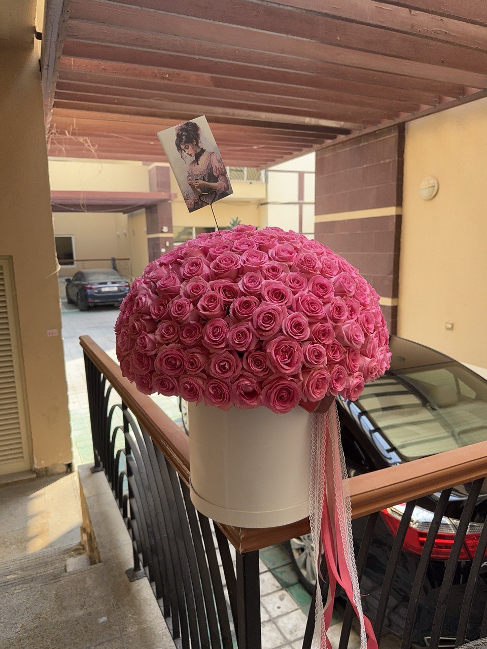 251 Pink roses / 251 وردة وردية