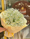 Summer daisies/زهور الصيف