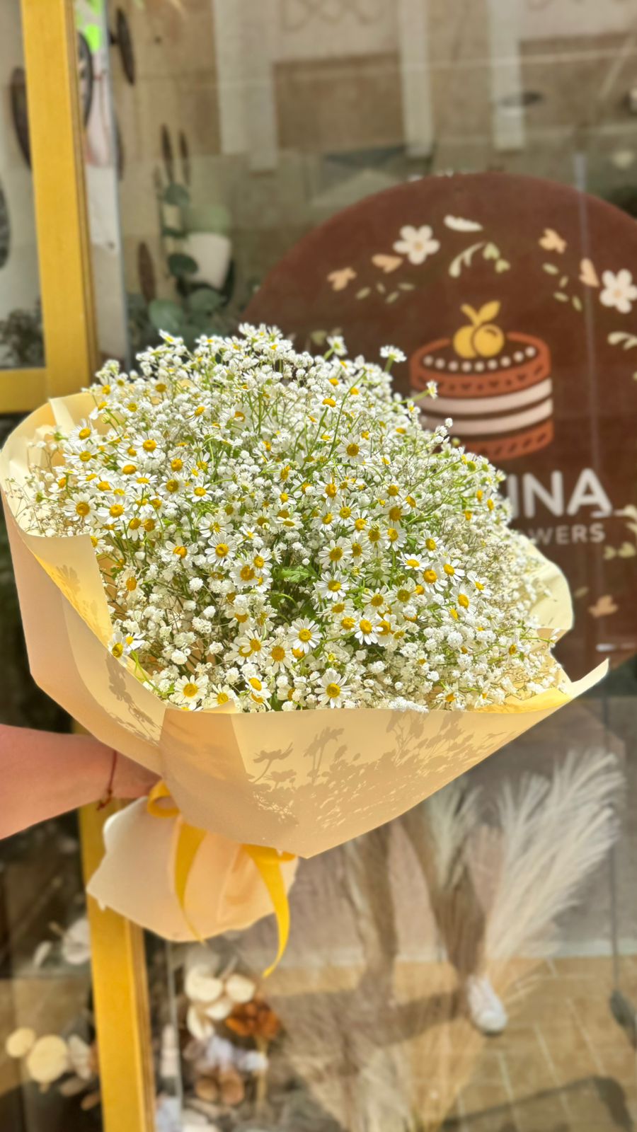 Summer daisies/زهور الصيف