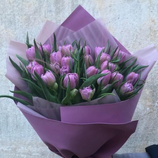 Purple tulips (35pis)