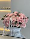 French rose / الوردة الفرنسية