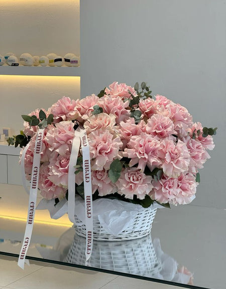 French rose / الوردة الفرنسية