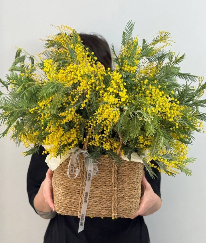Mimosa basket
