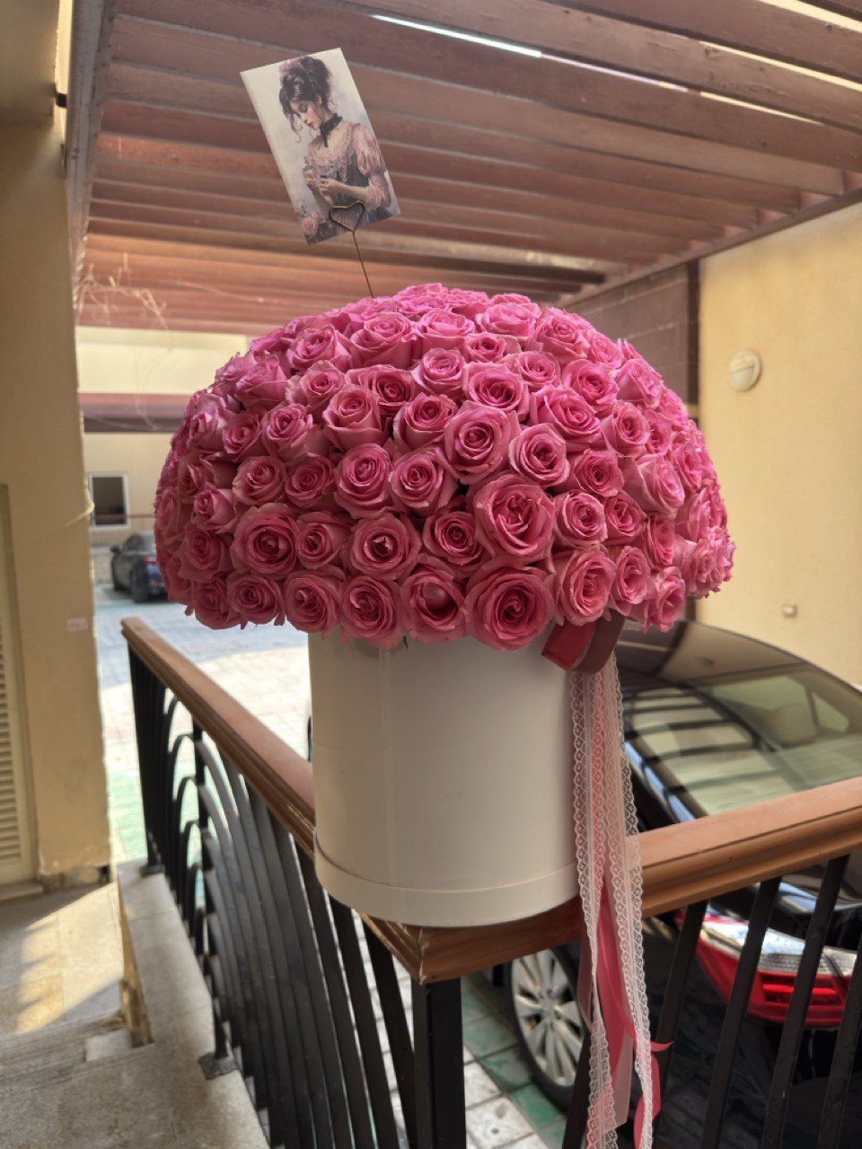 251 Pink roses / 251 وردة وردية