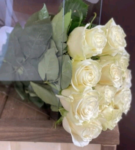White rose (21pis)