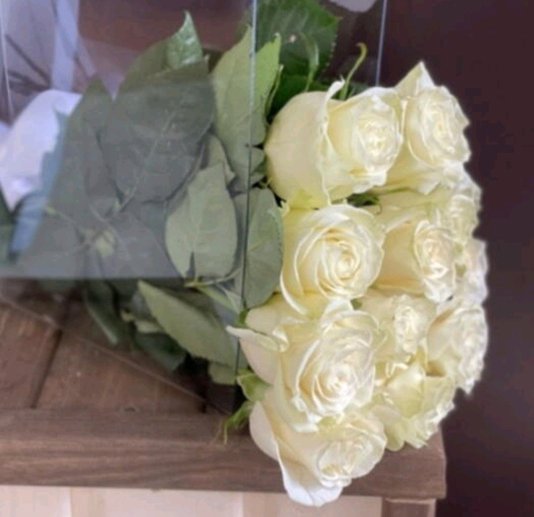 White rose (21pis)
