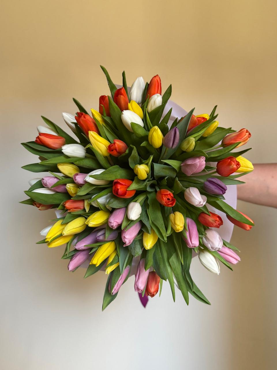 Mix tulips (51pic)