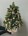 Handmade/Live Christmas tree(40sm)