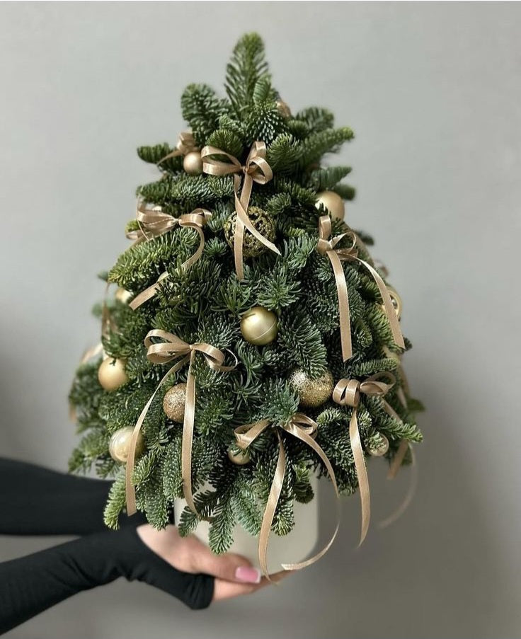 Handmade/Live Christmas tree(40sm)