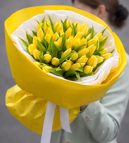 Tulip yellow (35pic)
